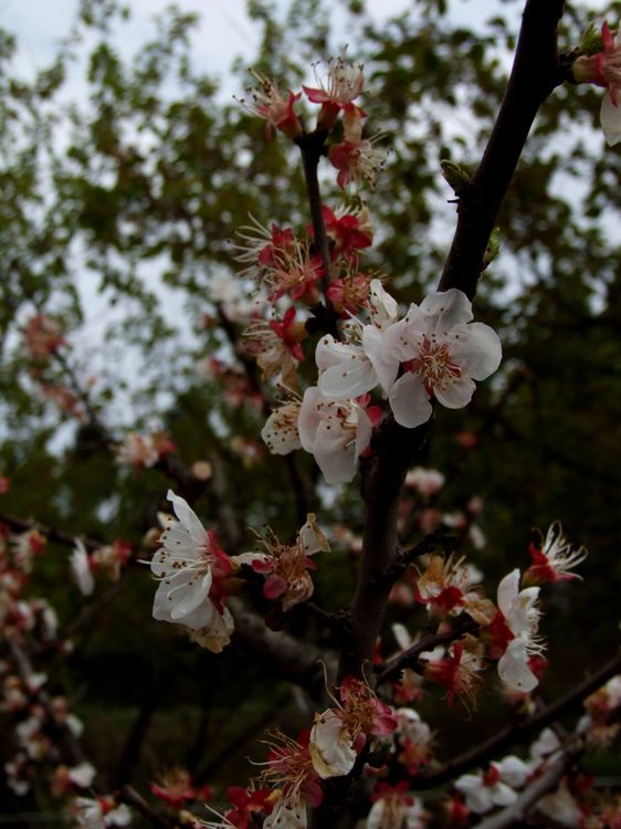 DSCF5897.JPG