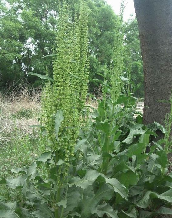 20123277554399715.jpg