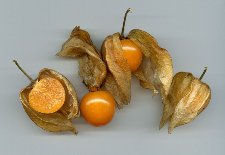 20123272024111956.jpg