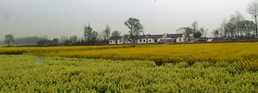 DSCF6115.JPG