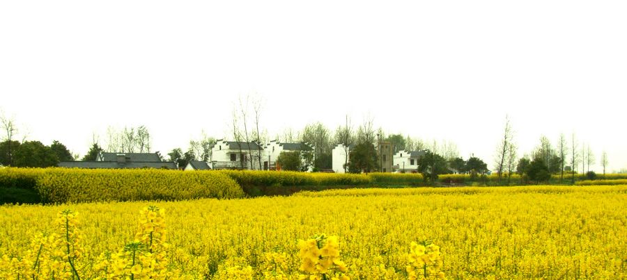 DSCF6147.JPG