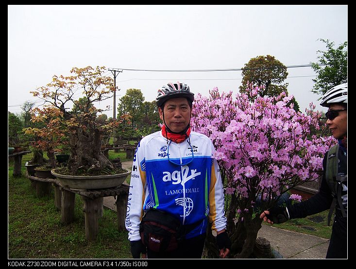 Ƭ 029.jpg