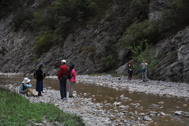 DSC_0617.jpg