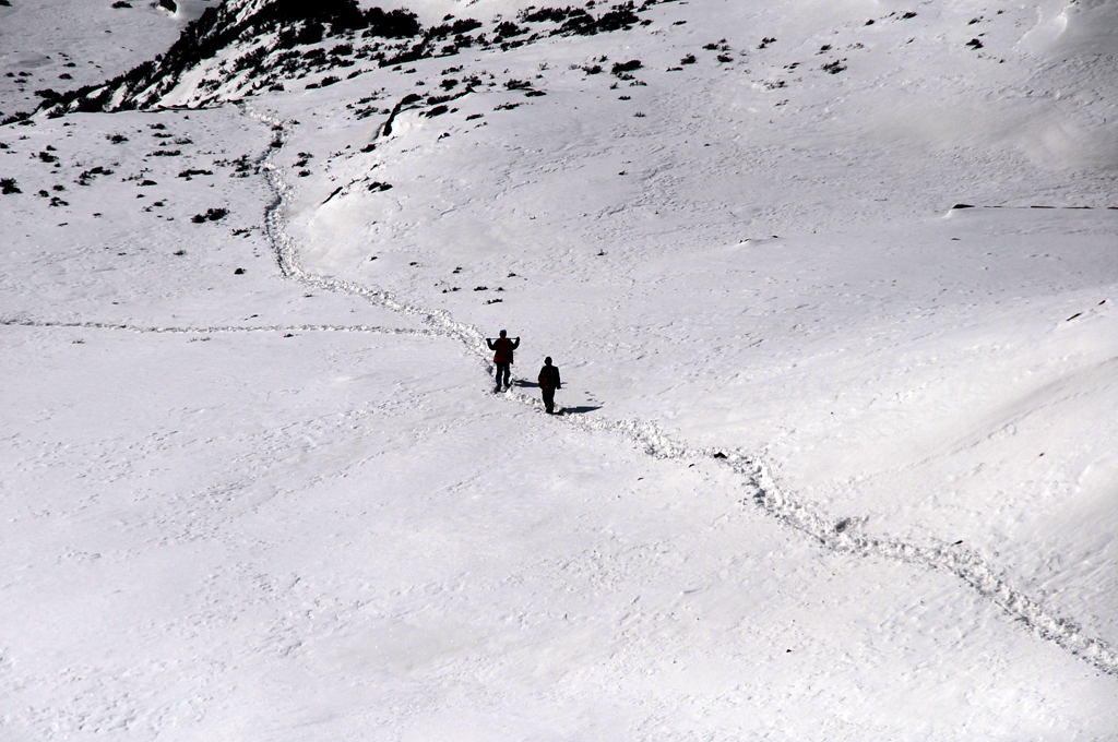 DSC_7436.JPG