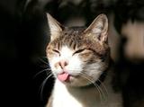 8C7CDEBCEEAD9BB082F6CAC64FAE82F1CA822DF3F0.jpg