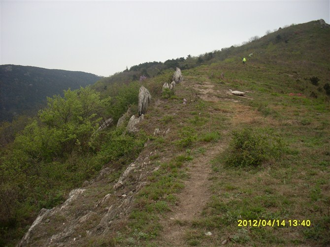 psbCA222EZN.jpg