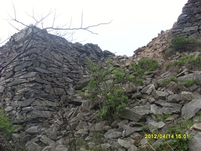 psbCA7C3B04.jpg