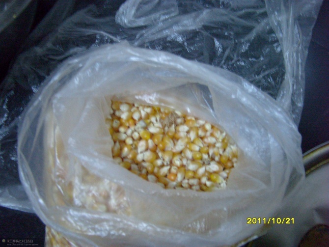 img1.jpg