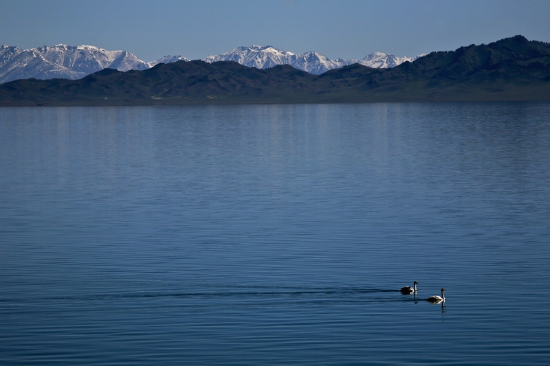 IMG_0306-1=2.jpg