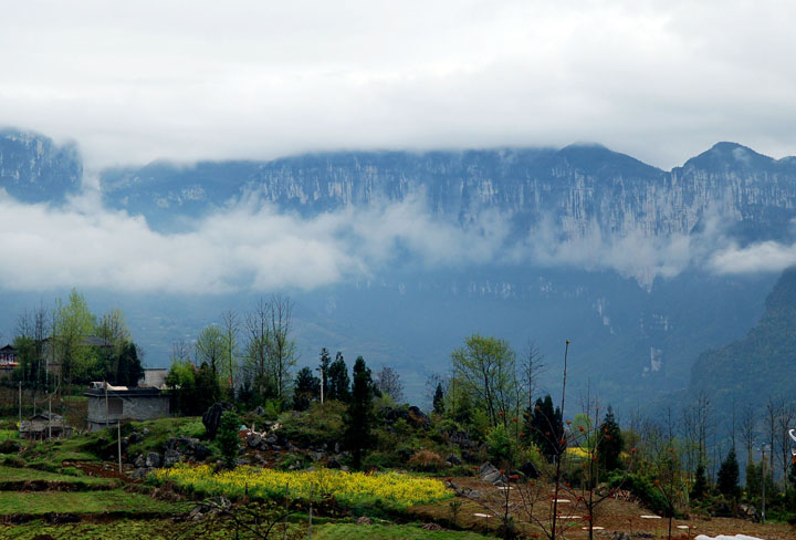 DSC_0100.jpg