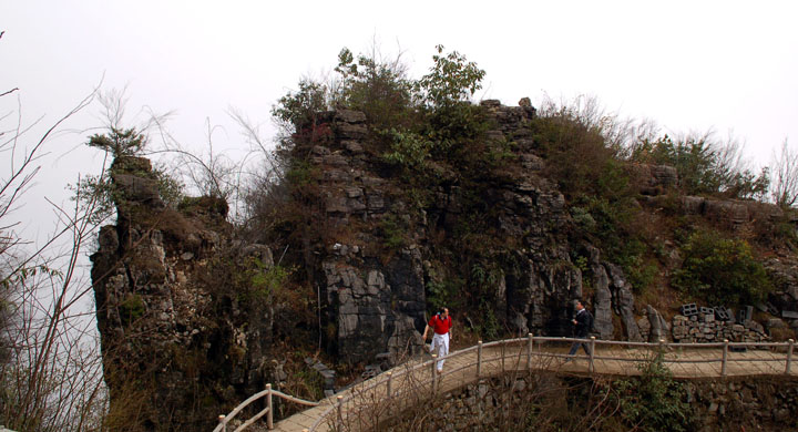 DSC_0124.jpg