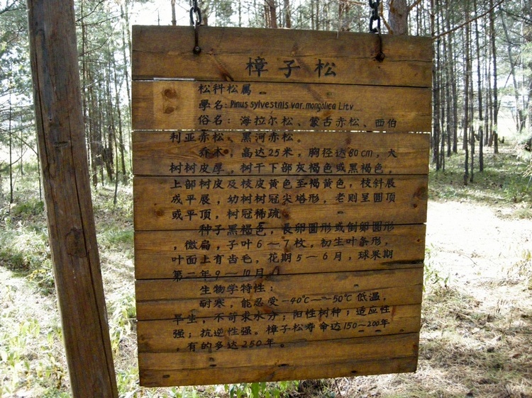 ɶ-1321.jpg