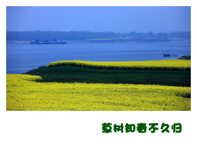 DPP054_.jpg
