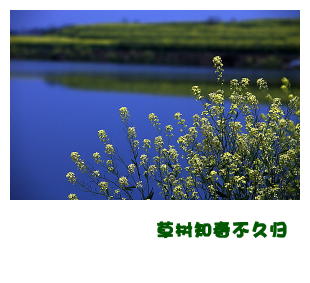DPP052_.jpg