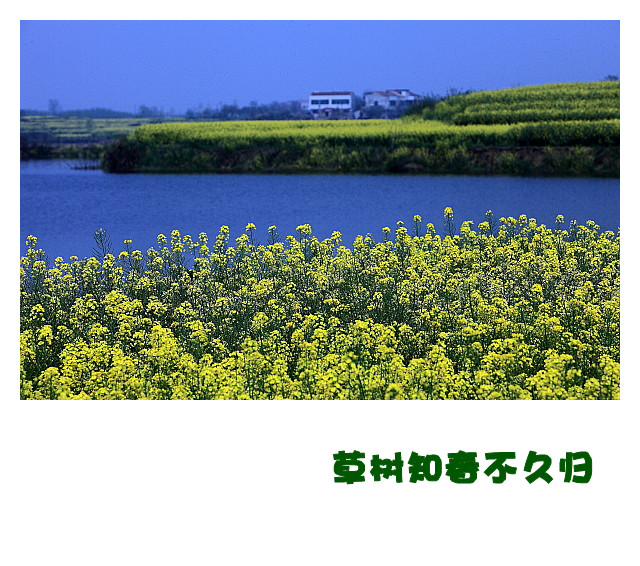 DPP051_.jpg