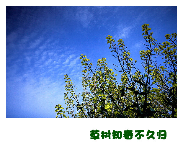 DPP057_.jpg