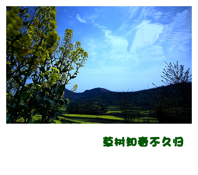 DPP056_.jpg
