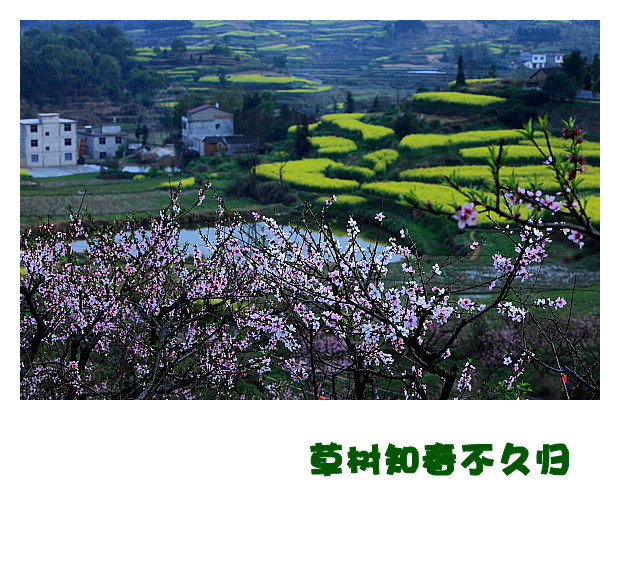 DPP064_.jpg