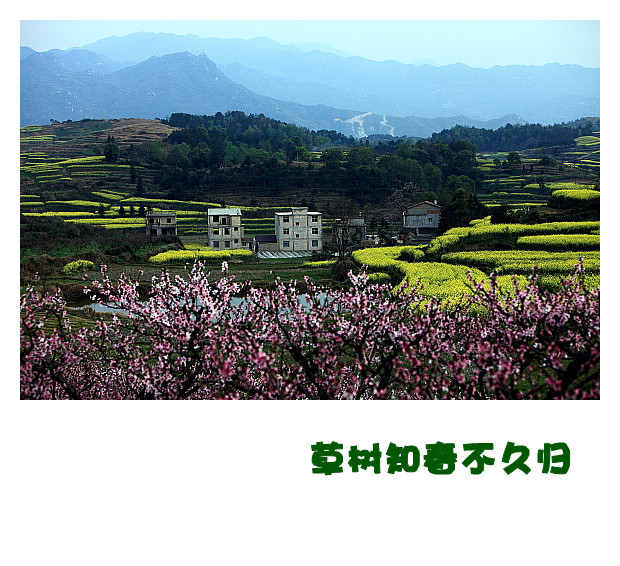 DPP066_.jpg