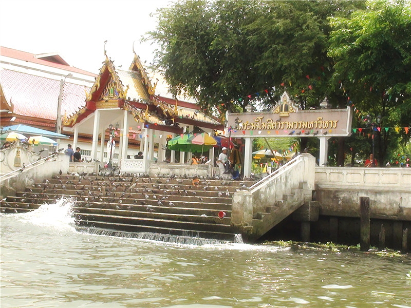 羰ƪ1.jpg