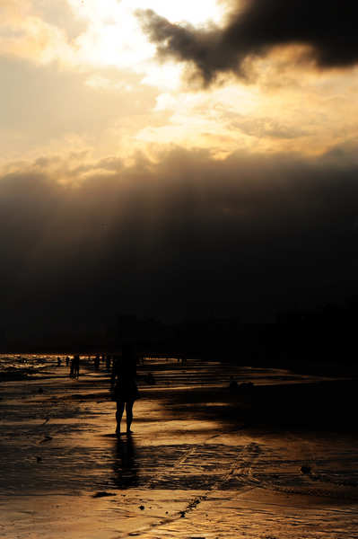 DSC_0782.jpg