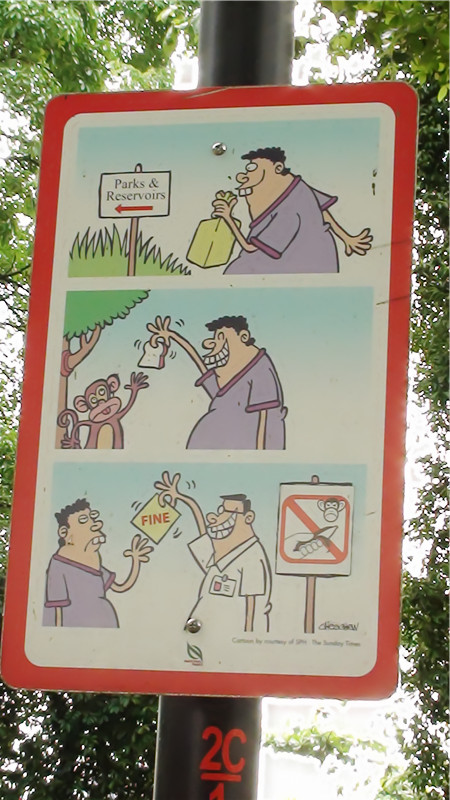 羰ƪ8.jpg