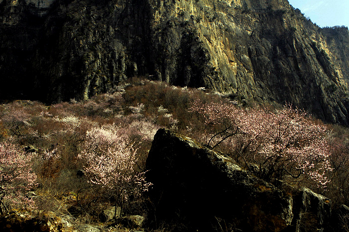 nEO_IMG__MG_0590.jpg