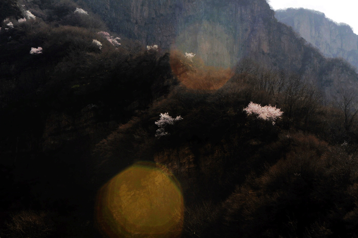 nEO_IMG__MG_0693.jpg