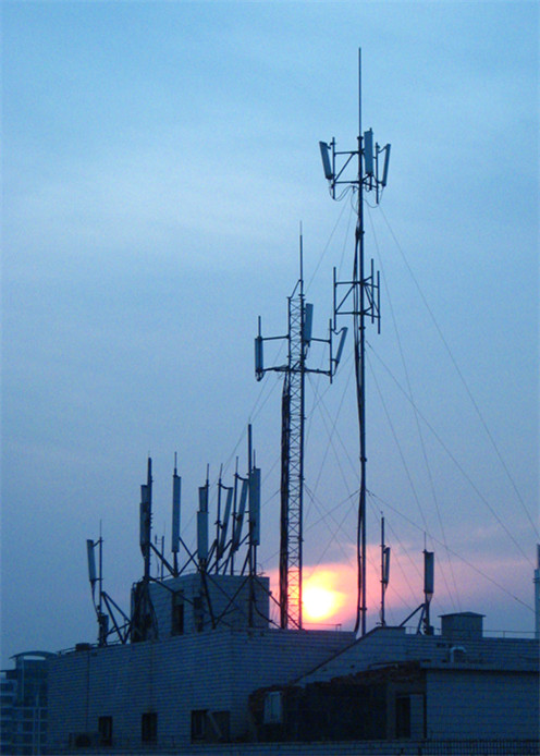 hua 009_.jpg