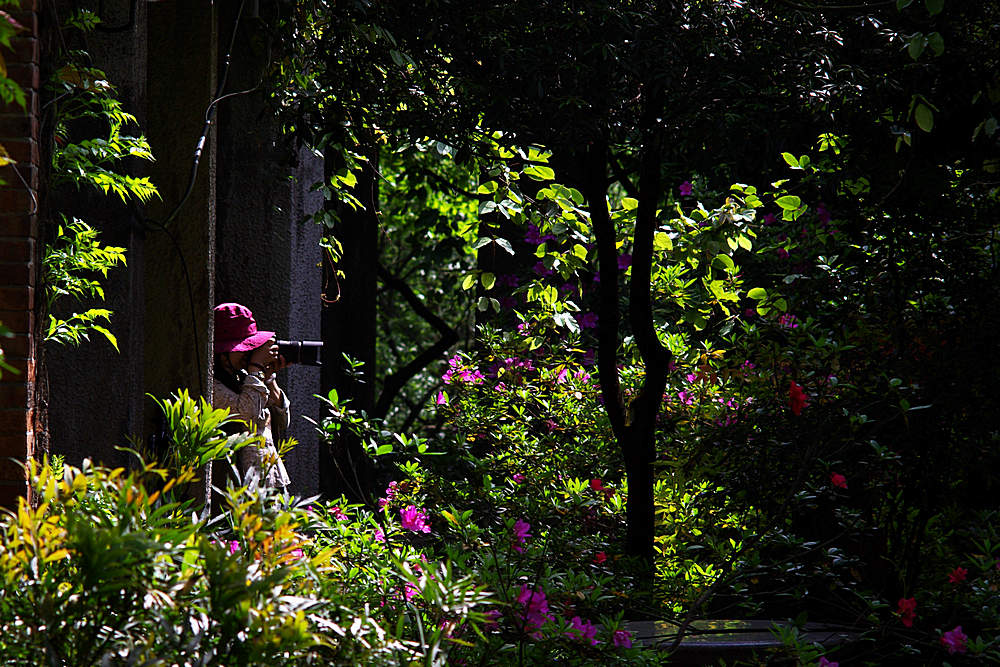 IMGP0936.jpg