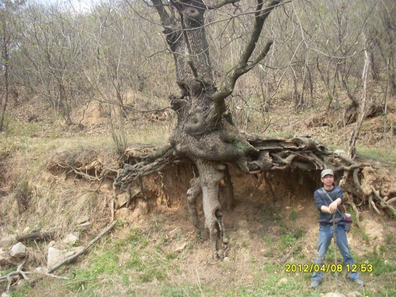 http_imgloadCAEY825T.jpg