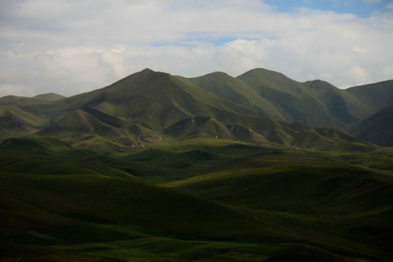 IMG_1168.jpg