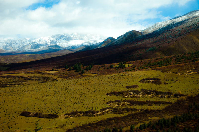 _MG_2085-2.jpg