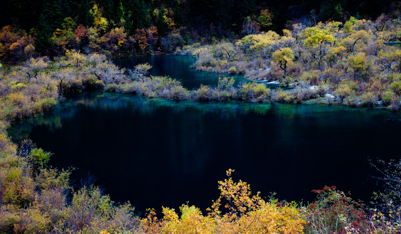 _MG_1734.jpg