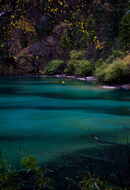 _MG_1578.jpg