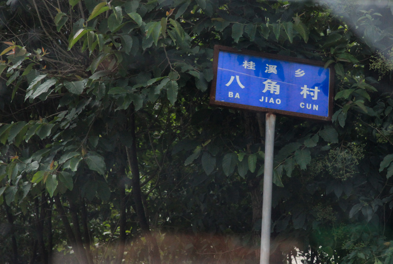 IMG_1562-2.jpg
