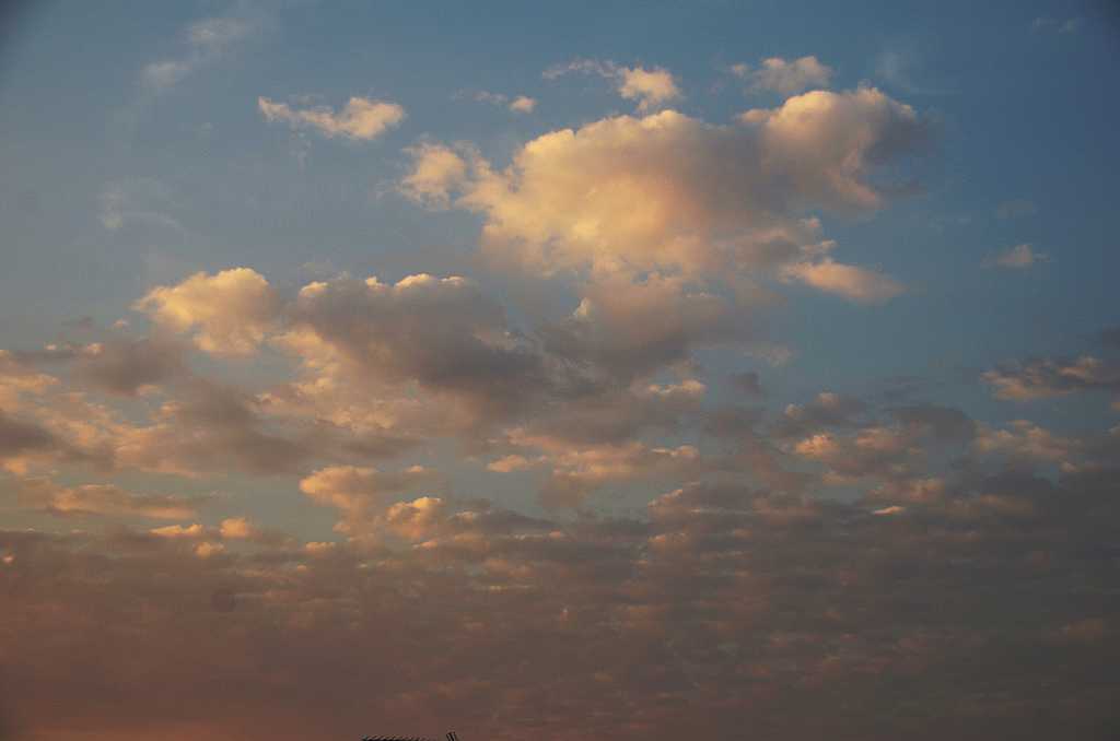 DSC_3113.jpg