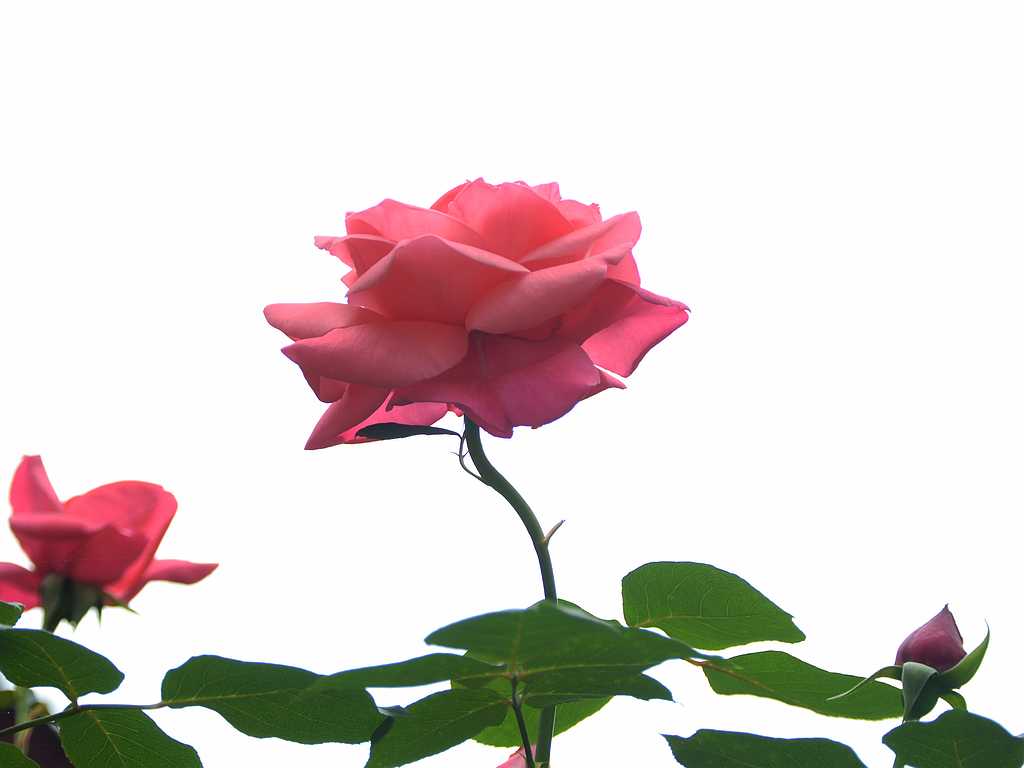 DSC_3209.jpg