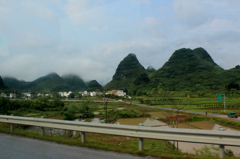 D1 01·.jpg