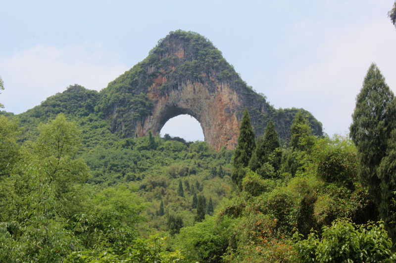 D1 14з羰.jpg