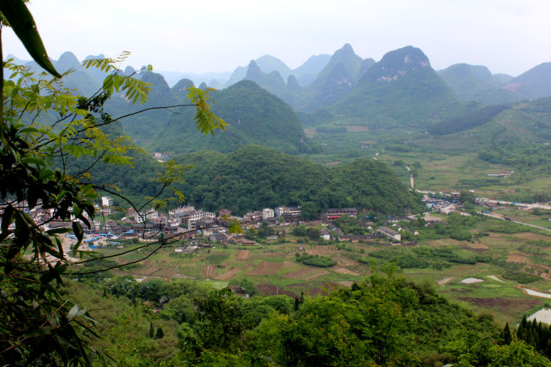 D1 18з羰.jpg
