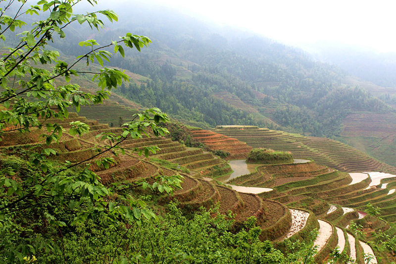 D3 06կ.jpg