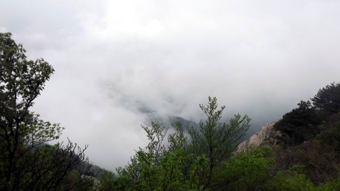 ŷ 123.jpg