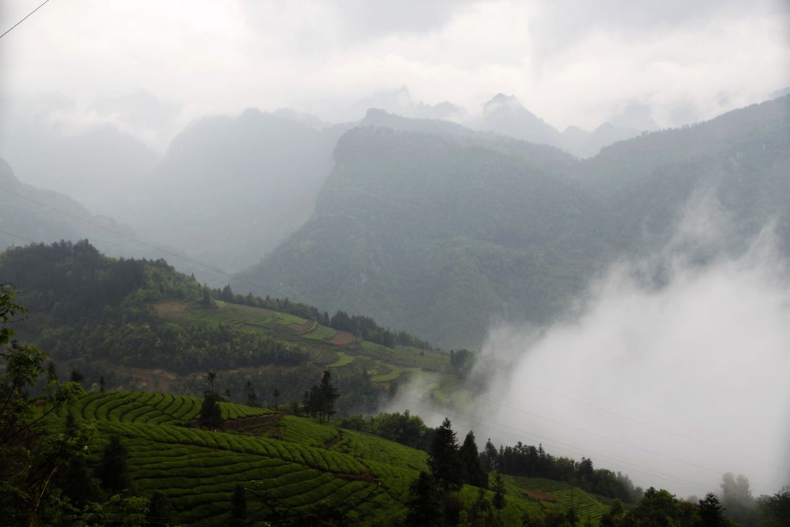 _MG_1507.jpg