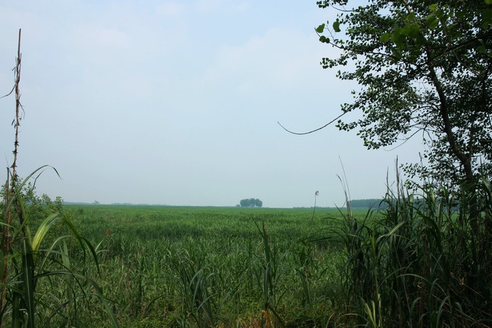 IMG_0068.jpg