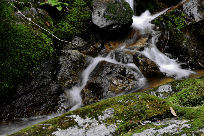 nEO_IMG__MG_0207.jpg