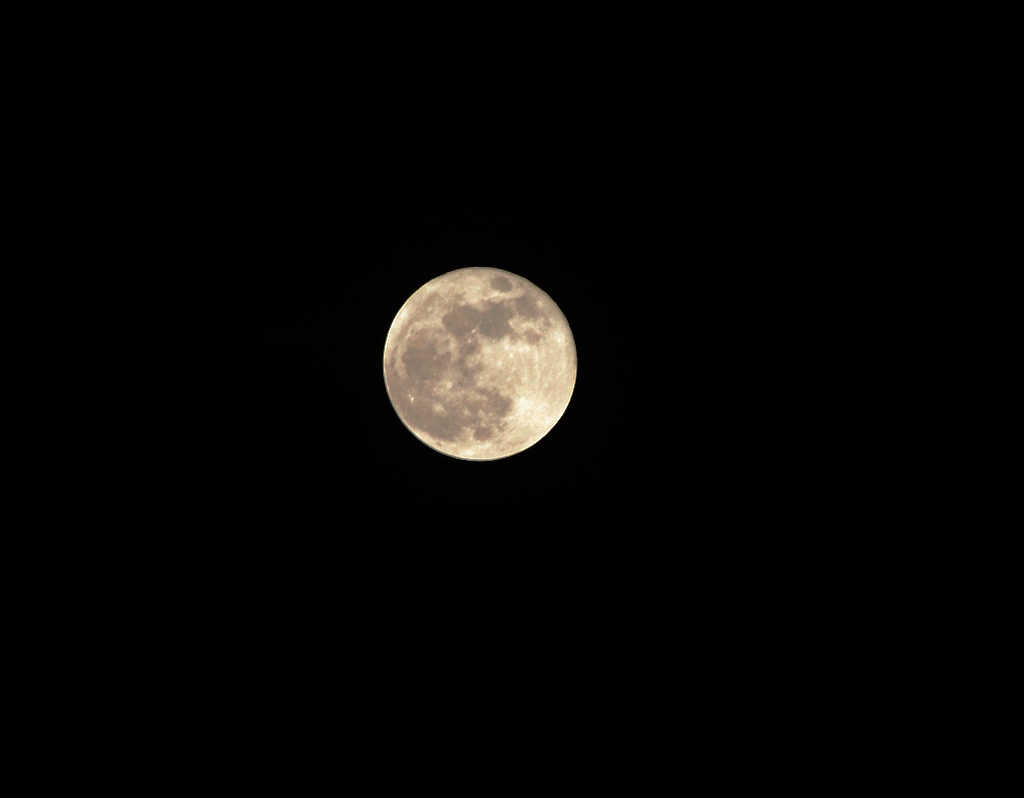 DSC_3310.jpg