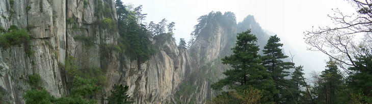 驼骆