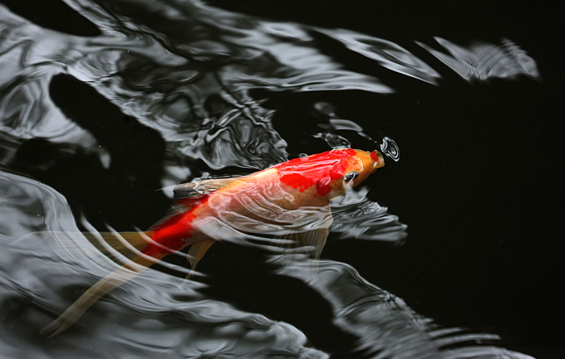 Ƭ 076.jpg