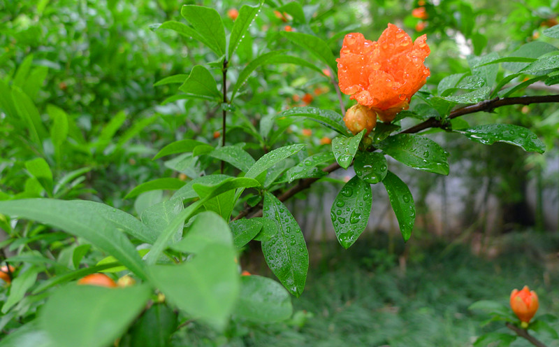 P1000026_.jpg